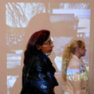 Dánia magyar szemmel