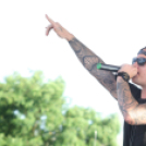 IX. Bor és Laskafesztivál - IV. Ceglédi Vágta