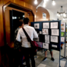 Idén is művészeti fesztivállal zárták az évet a Tetz iskola diákjai