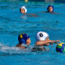 XXXI. Beck Péter Országos Gyermek Vízilabda Torna