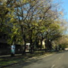 Halló Cegléd - Rákóczi út