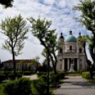 A város májusfája