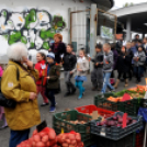 Márton napi felvonulás