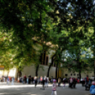 Őszköszöntő a Táncsicsban