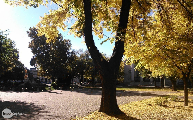 Aki ma napot lát, becsülje meg nagyon!