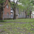 Viharkárok a Ceglédi térségben 