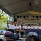 Kossuth Toborzó - Cegléd Város Díszpolgára