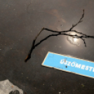 Városi Strandfürdő - Tereprendezés I.