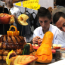 Pályaválasztási kiállítás