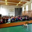 Hangszeres csalogató