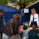 Pest megyei Rendőr- és Tűzoltónap - fotó: Kisfaludi István