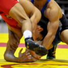 NB I-es birkózó csapatbajnokság -A- csoport