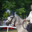 Bor és laskafesztivál - II