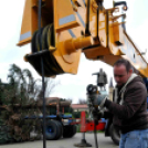 Felállították a város karácsonyfáját