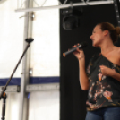 Hétközepi majális