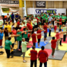 Idén is népszerű volt a Testébresztő Fesztivál Cegléden