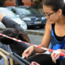 CIÖK kerékpártároló festés