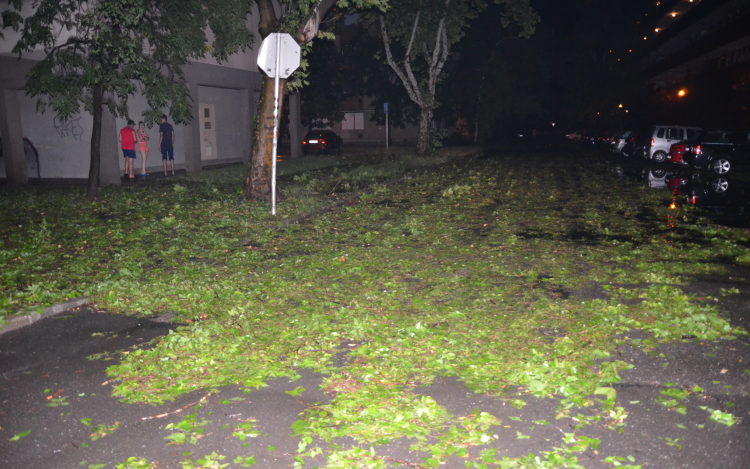 Háromszáz milliós kárt okozott a hétvégi vihar