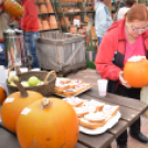 Családi tökfaragás az Oázis Kertészetben