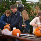 Családi tökfaragás az Oázis Kertészetben