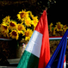 Augusztus 20. - Az új kenyér