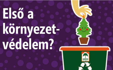Karácsonyfát ingyen?