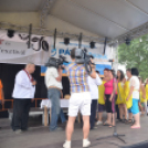 Bor és laskafesztivál - I