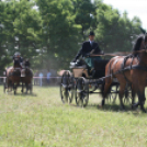 IX. Bor és Laskafesztivál - IV. Ceglédi Vágta