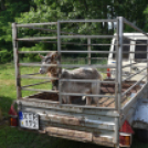 Képesek az önellátásra