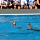 Magyarország 7-7 Ausztrália