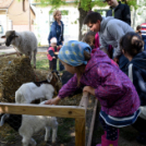 Régi idők piacztere - fotó: Kisfaludi István