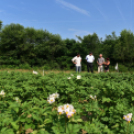 Képesek az önellátásra