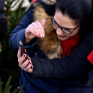 Karácsonyfa díszítő verseny