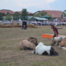 A lovak nyelvén – Hamza Viktória