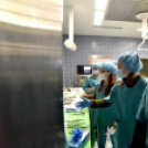 Nyílt nap a Toldy Ferenc Kórházban 