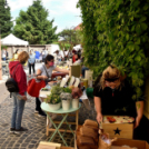 Újra termelői piac az Ordass közben