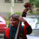 Utcazene fesztivál és koncertek