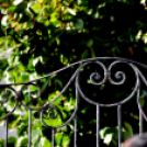 Újjáalakult Cegléd és Térsége Ipartestülete 