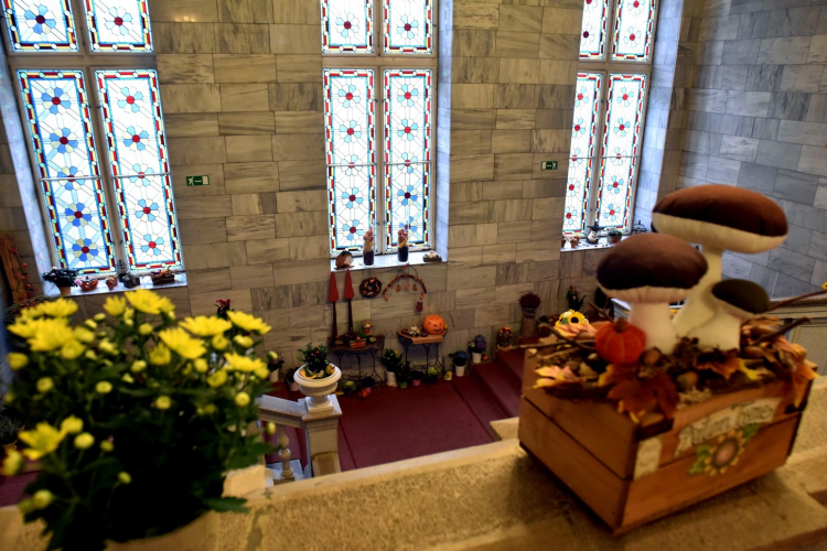 Legszebb kertek - legszebb rajzok Cegléden