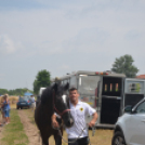 Bor és laskafesztivál - II