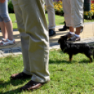 Virágharangot avattak Csemőben