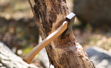 Egész Újszilvás sötétségbe borult egy illegális favágó miatt