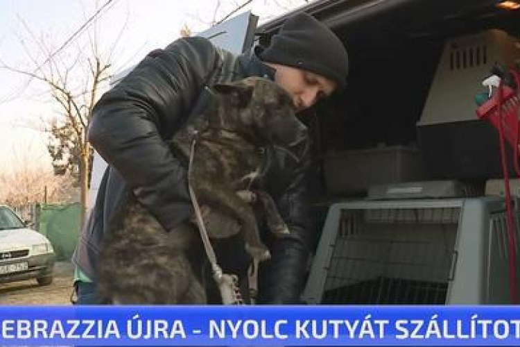 Újabb ellenőrzést tartottak