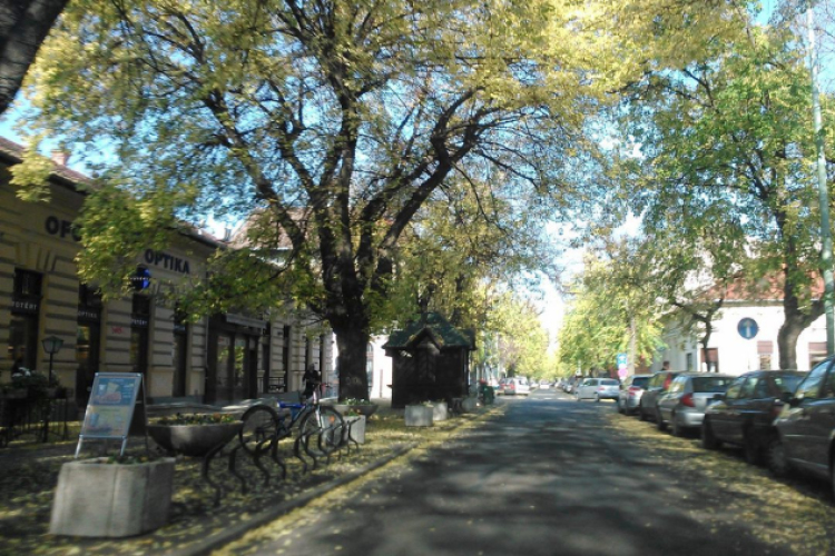 Halló Cegléd - Rákóczi út