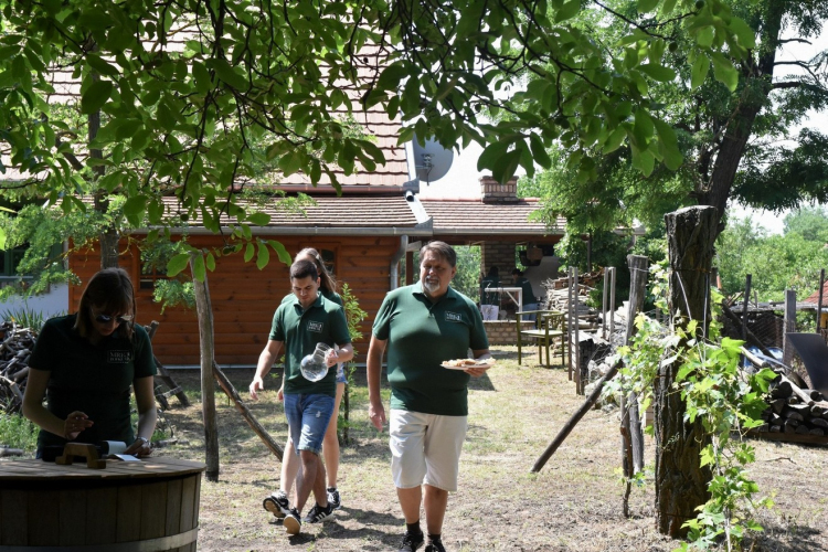 XIII. Nyitott Pince Nap