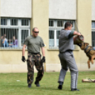 Honvédelmi napot tartottak a Mezgázban