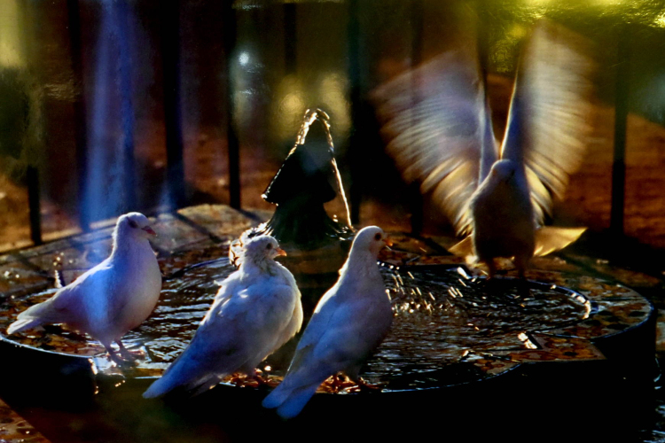 Jójárt György kiállítása a Gimiben