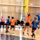 Ceglédi Kék Cápák - Vecsés Kombi Expressz 28 - 20 (16 - 9)