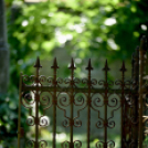 Gyászistentisztelet a temetőben