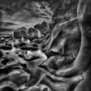 MAFOSZ kiállítás képei